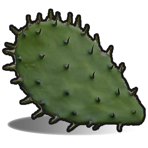 Cactus Flesh