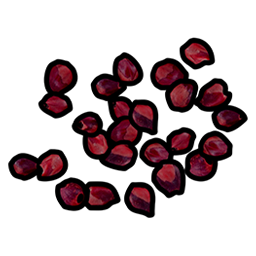 Red Berry Seed