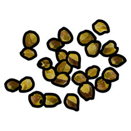 Yellow Berry Seed